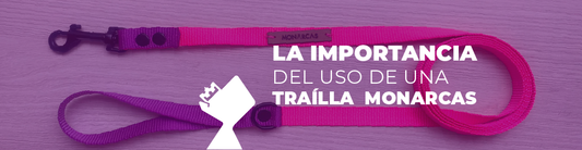 traillas monarcas