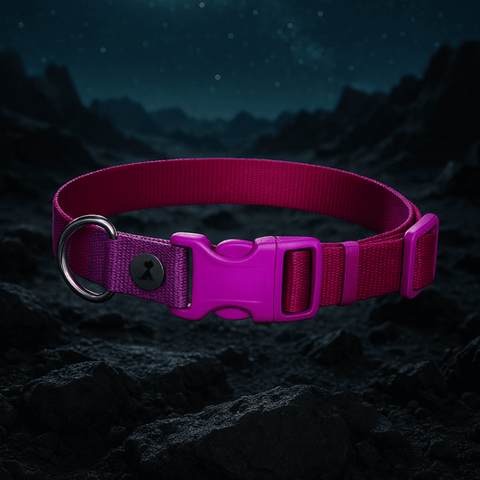 Collar azul bi-color Monarcas Pets Co.