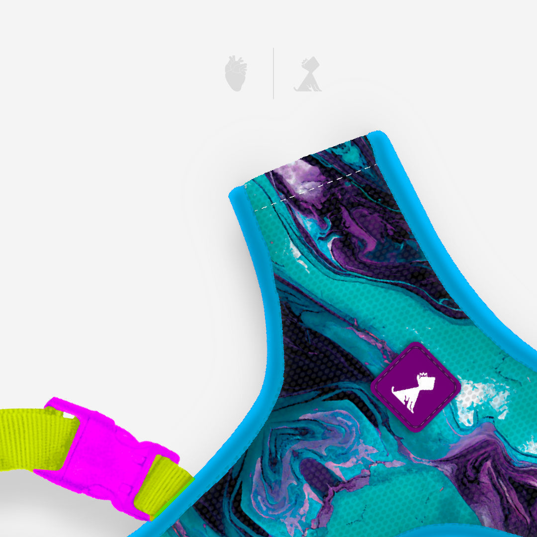 Pechera Latidos Azul Monarcas Pets Co.