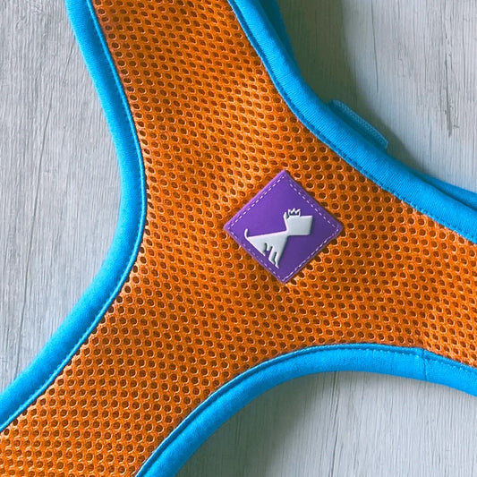 Pechera Monarcas | Neón Oro Monarcas