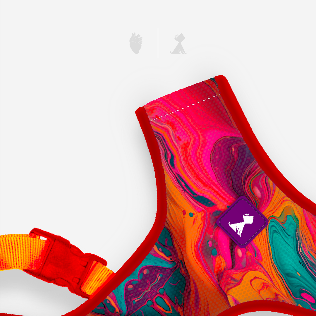 Combo Latidos Roja + Traílla Monarcas