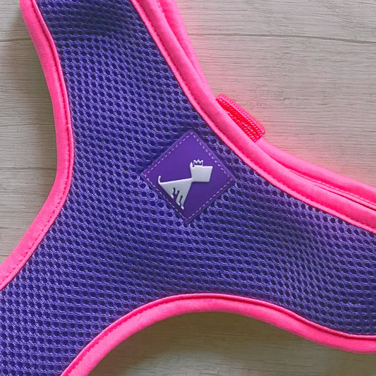 Pechera Monarcas | Neón Morado Monarcas