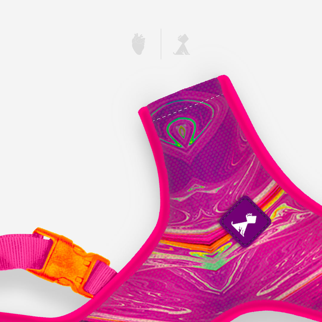 Combo Latidos Rosa + Traílla Monarcas