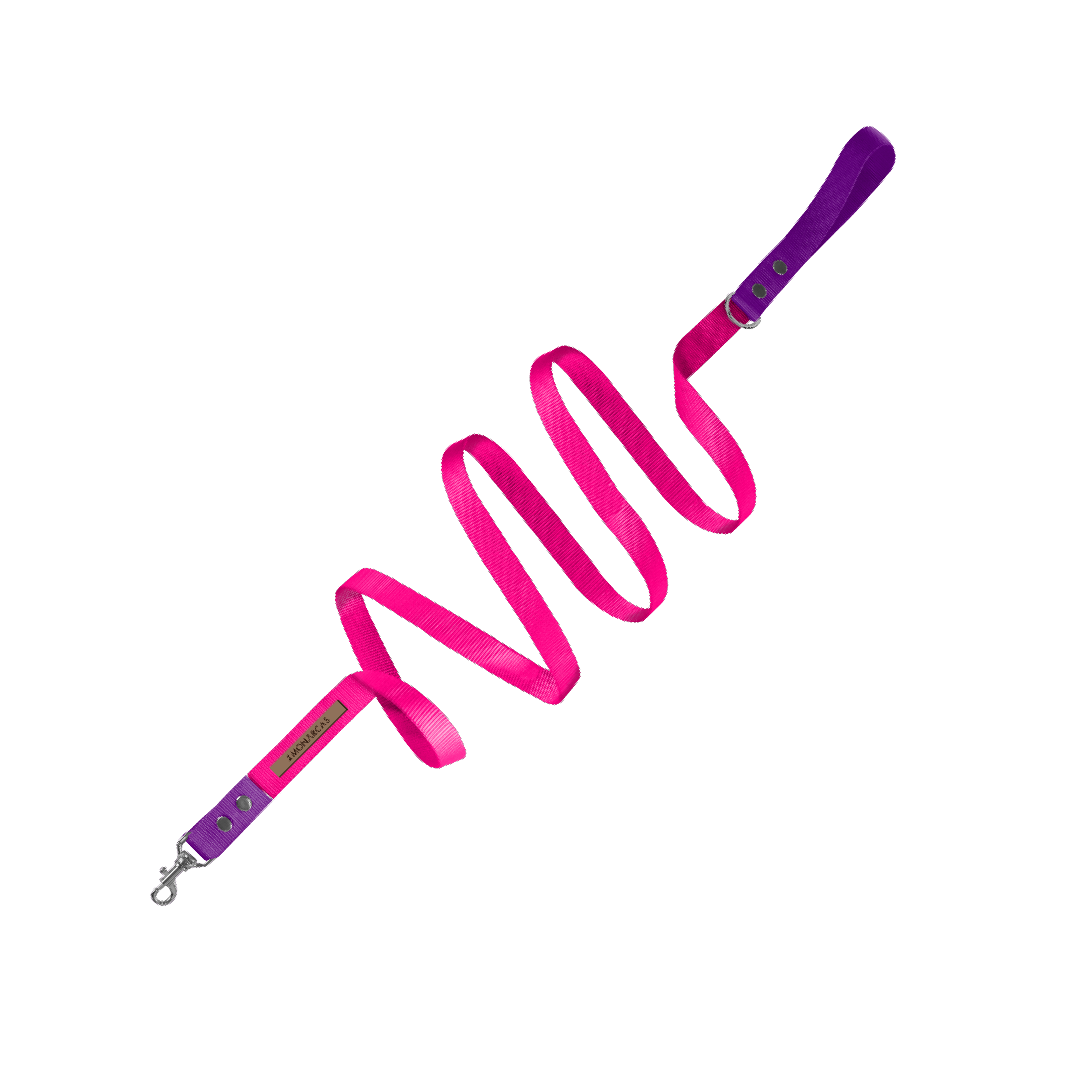 Traílla Monarcas | Neón Pink Monarcas