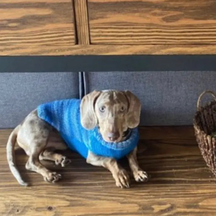 Pullover Monarcas | Mediterraneo Monarcas