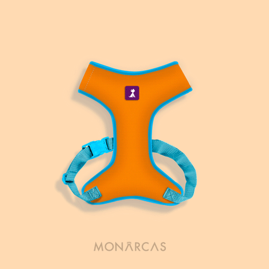 Pechera Gato | Oro Monarcas