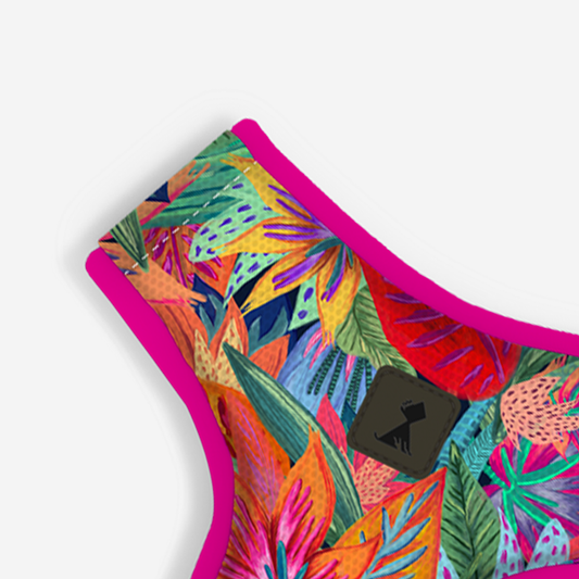 Pechera Flora Efímera Monarcas Pets Co.