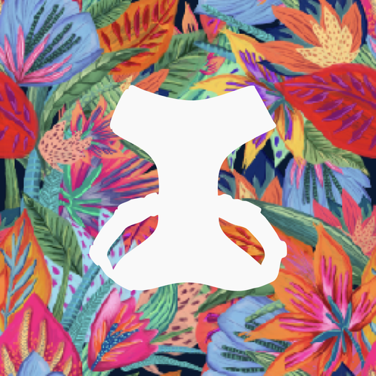 Pechera Flora Efímera | Monarcas Pets. Monarcas Pets Co.