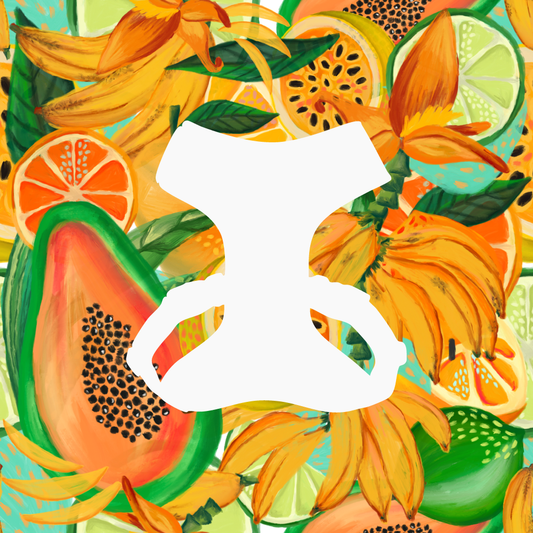 Pechera Néctar Sagrado | Monarcas Pets Monarcas Pets Co.