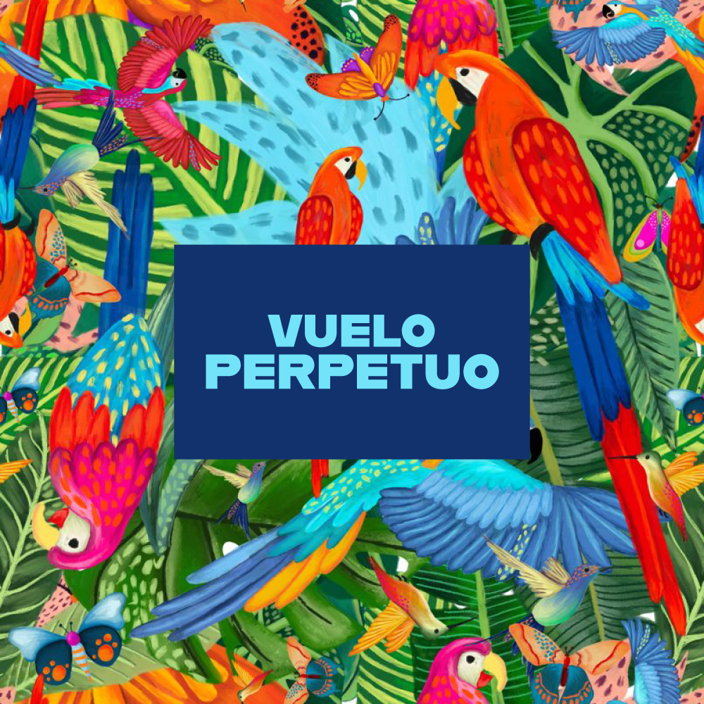 Pechera Vuelo Perpetuo | Monarcas Pets Monarcas Pets Co.