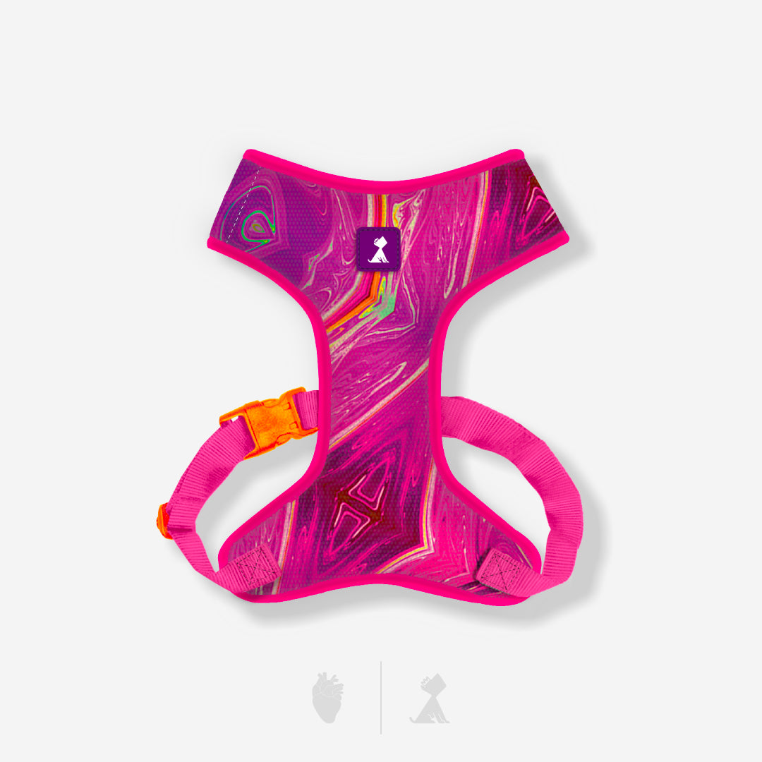 Combo Monarcas | Latidos Rosa Monarcas