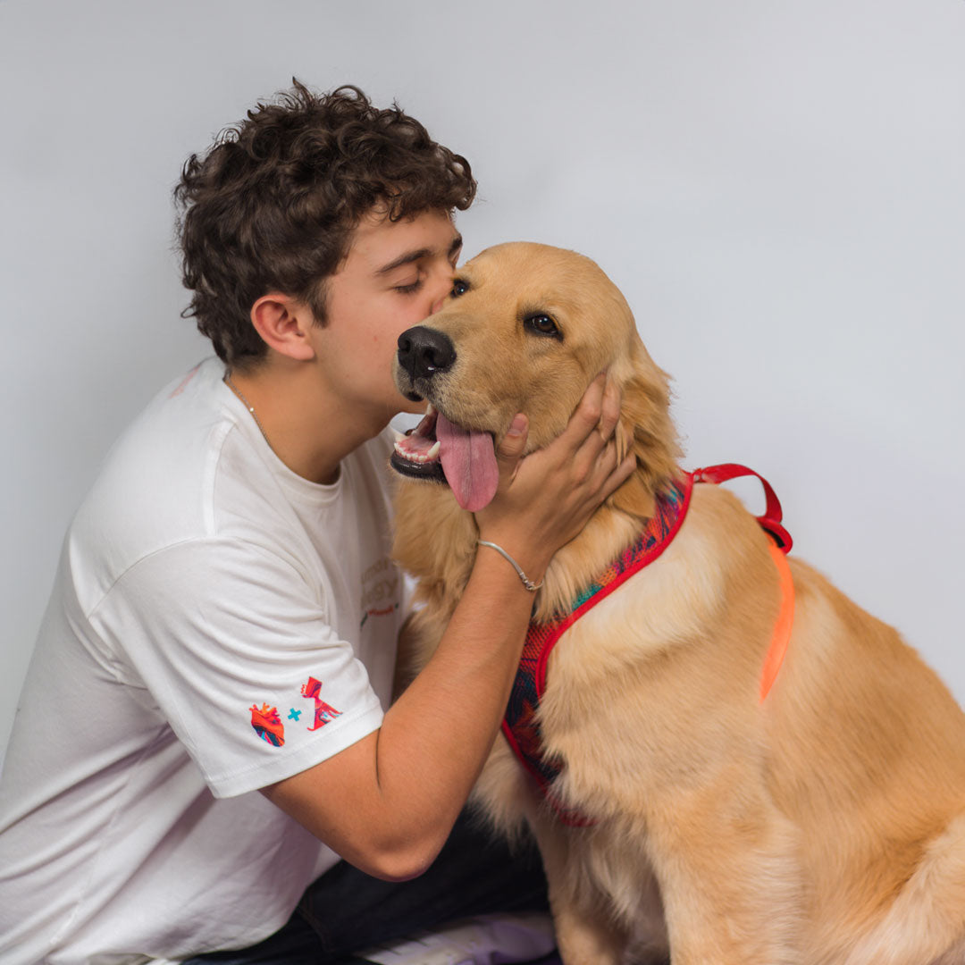 Humano Monarcas | Latidos | Human Alergy Meow Monarcas Pets Co.