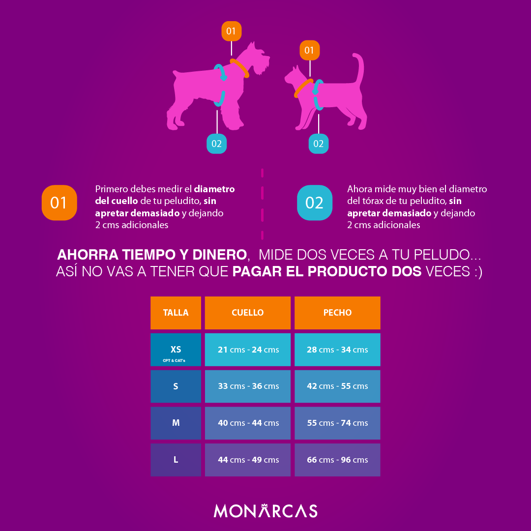 Pechera Monarcas | Gato Pink Monarcas
