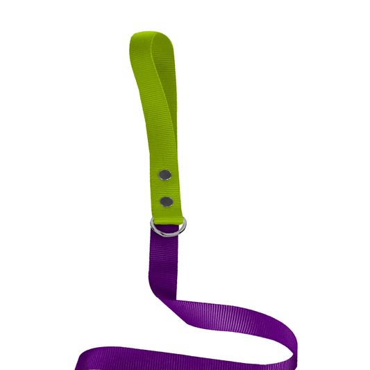 Traílla Monarcas | Latidos Morada Monarcas