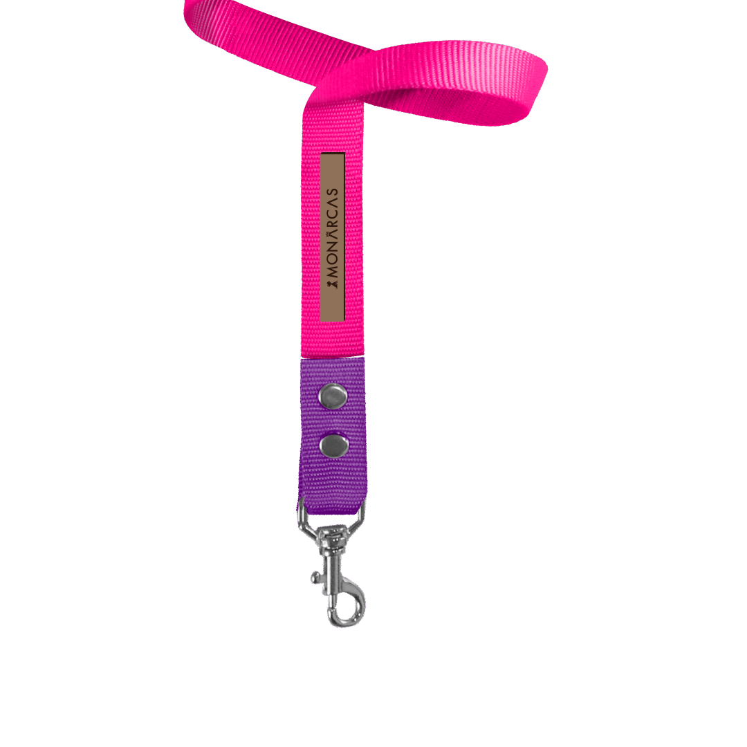 Traílla Monarcas | Neón Pink Monarcas