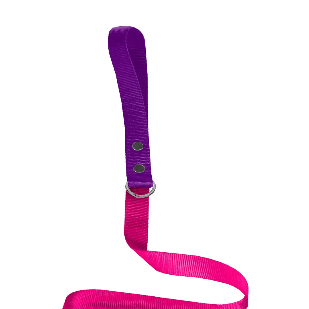 Traílla Monarcas | Neón Pink Monarcas