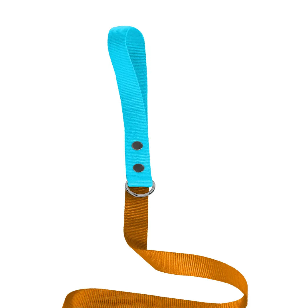 Traílla Monarcas | Neón Oro Monarcas