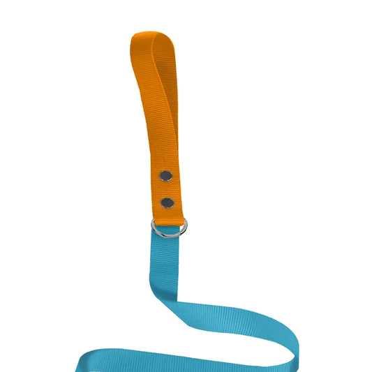 Traílla Monarcas | Neón Azul Monarcas