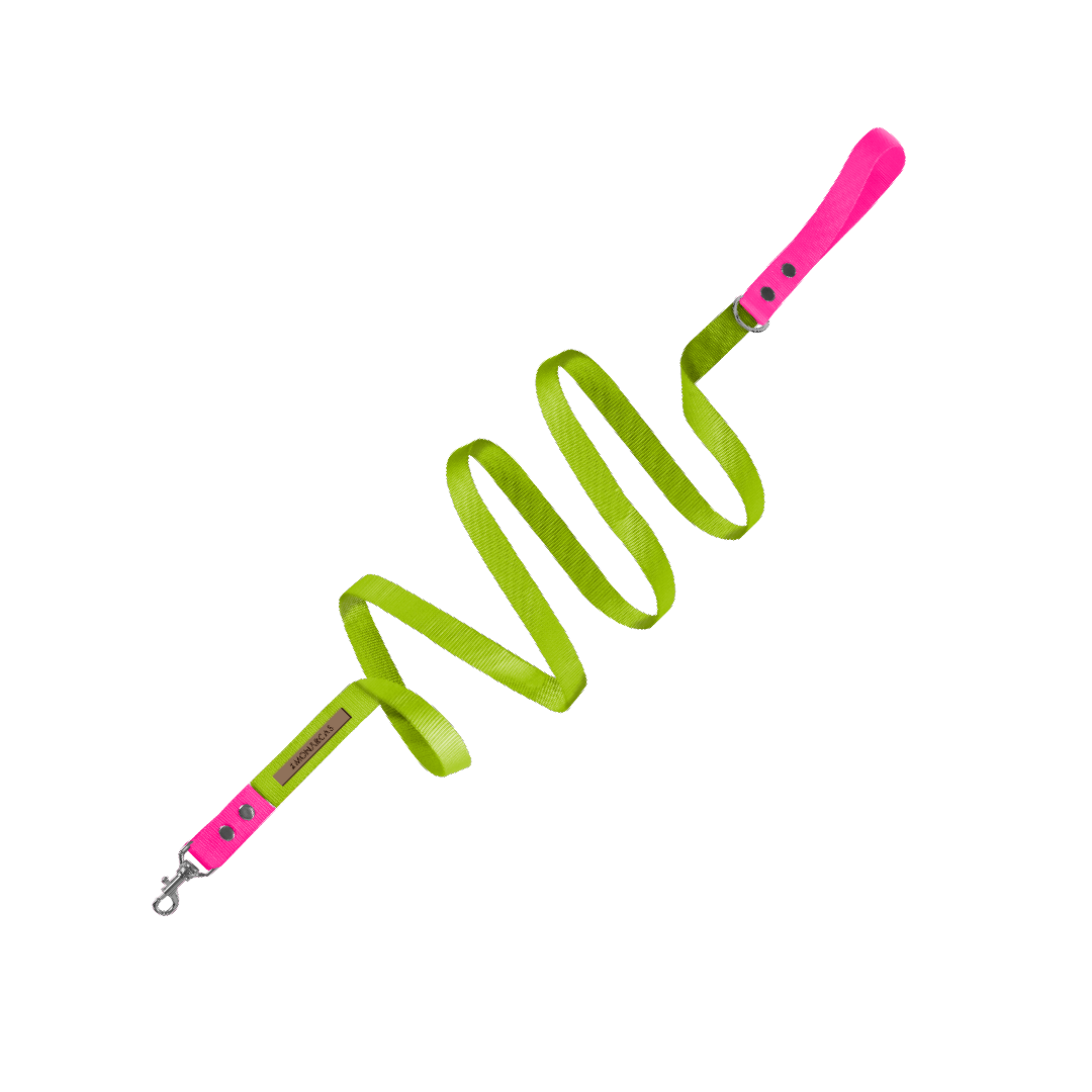 Traílla Monarcas | Latidos pink Monarcas