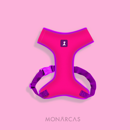 Pechera Gato | Pink Monarcas