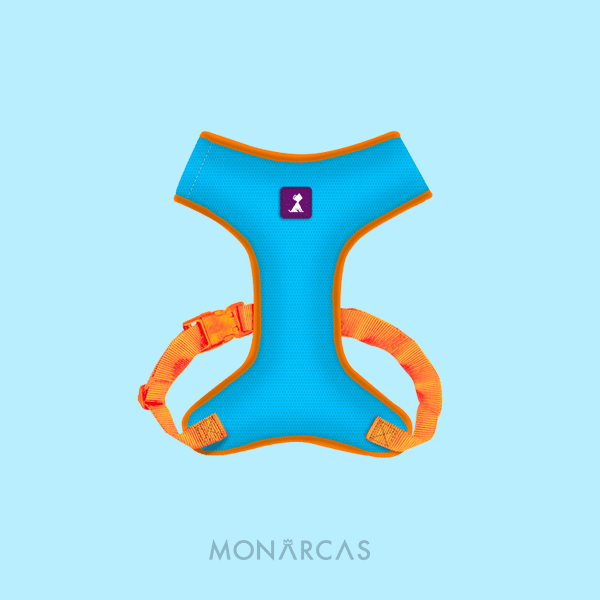 Pechera Monarcas | Neón Azul Monarcas