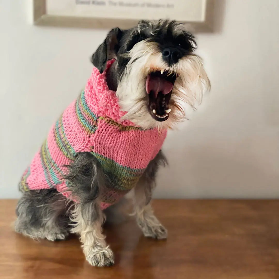 Pullover Monarcas | Cake Monarcas