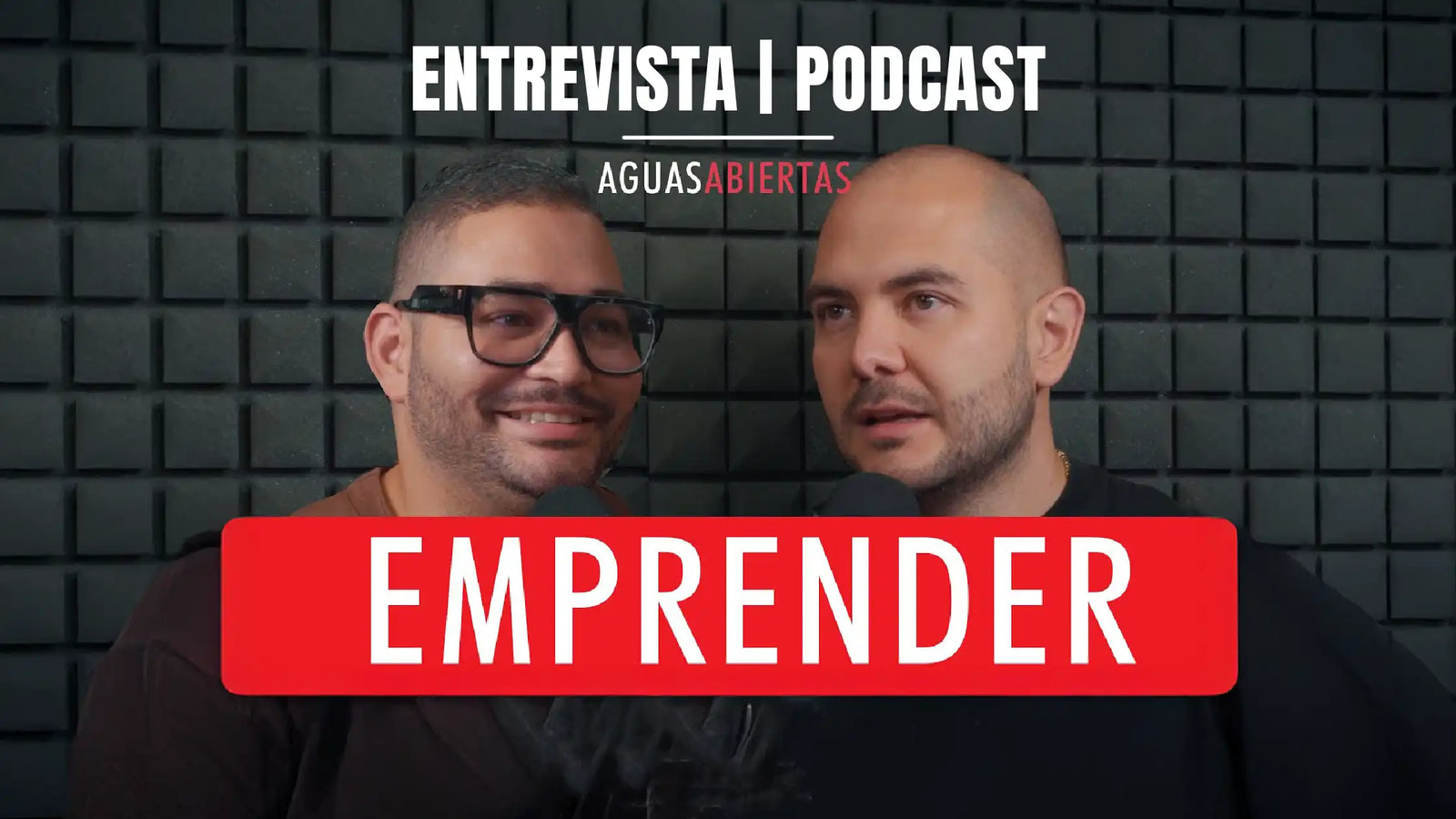 🎙️ Monarcas Pets en Aguas Abiertas: Hablamos sobre innovación, mascotas felices y mucho más 🐾✨