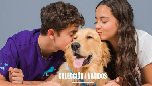 ¿Qué Significa "Monarcas" en el Mundo Pet?