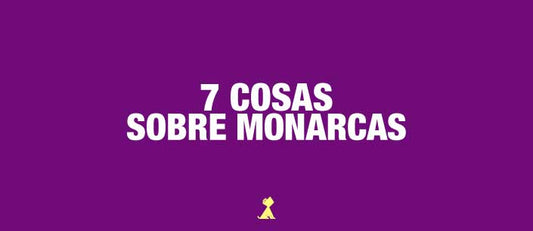 perrita de monarcas