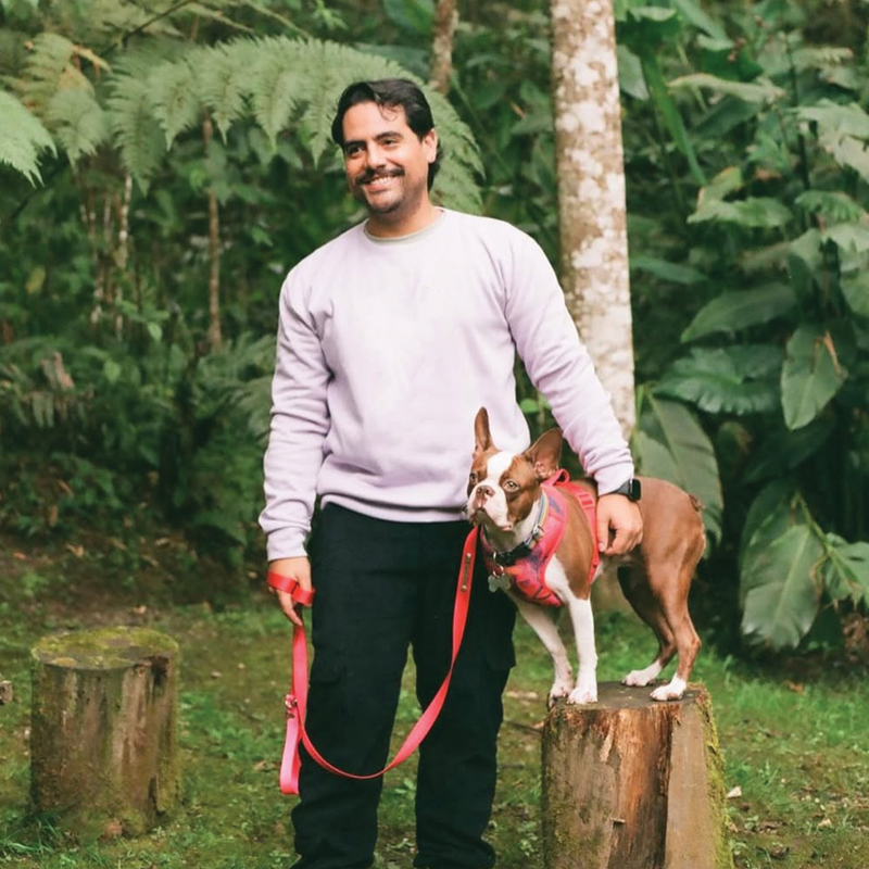 Cómo Ajustar una Pechera para Perro Correctamente | Monarcas Pets