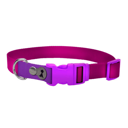 Collar Pink bi-color