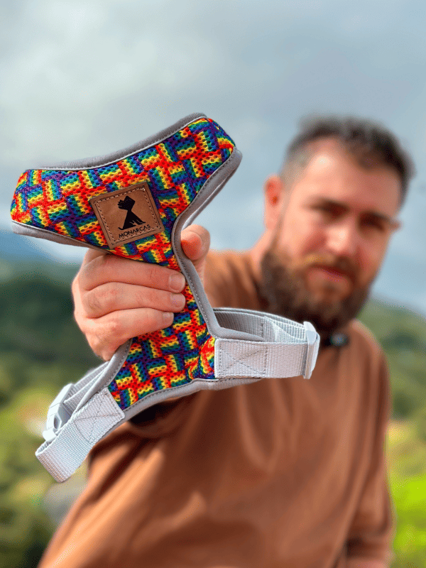 Pechera Orgullo Edición Limitada 🏳️‍🌈 + Traílla + envío Monarcas Pets Co.