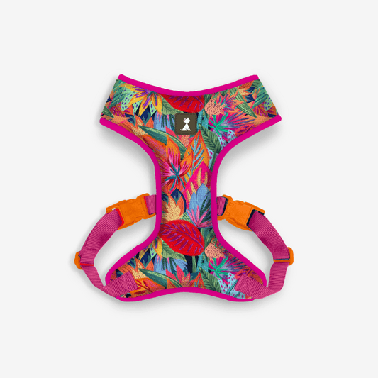 Pechera Flora Efímera para perro — Colección Raíz Viva Monarcas Pets