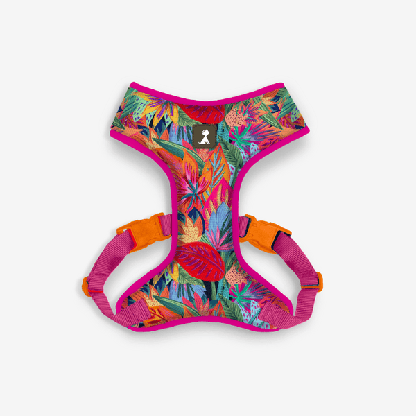 Pechera Flora Efímera para perro — Colección Raíz Viva Monarcas Pets