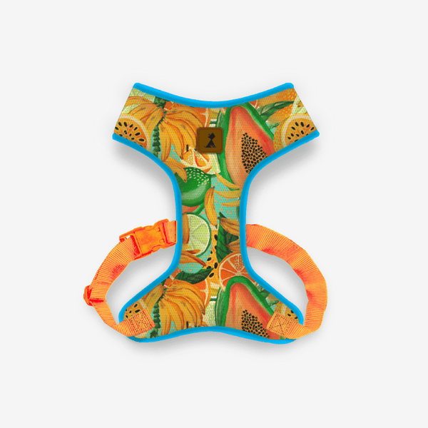 Pechera Néctar Sagrado para perro — Diseño de autor hecho en Colombia Monarcas Pets