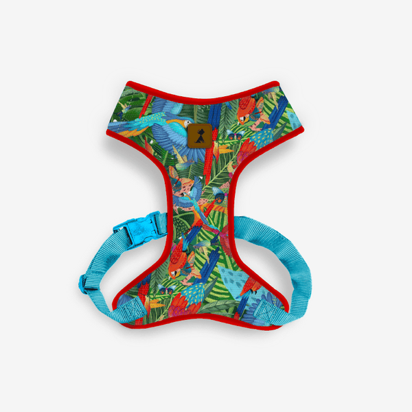 Pechera Vuelo Perpetuo para perro — Accesorios premium Colombia Monarcas Pets