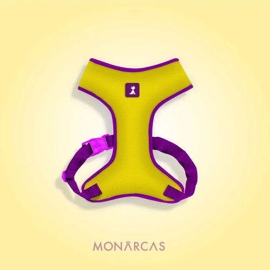 Combo Monarcas | Neón Amarilla Monarcas
