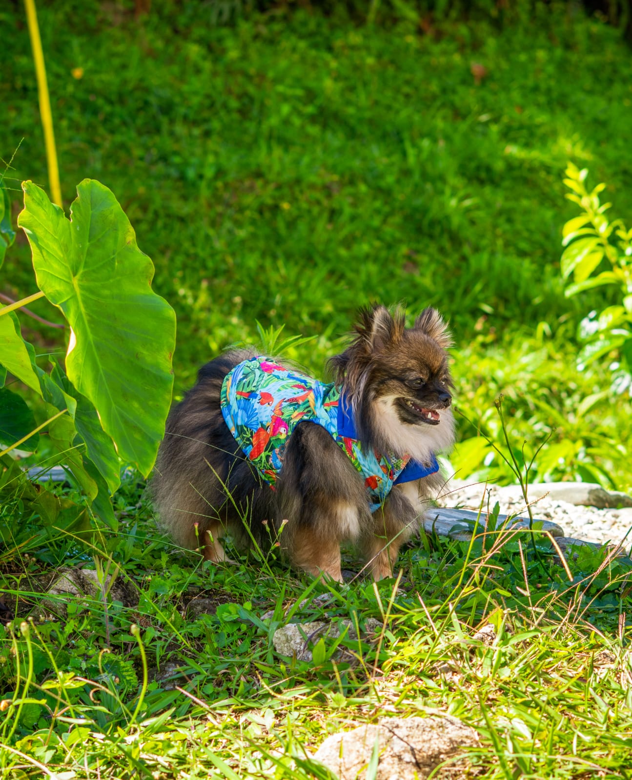 Dos looks, una pieza única