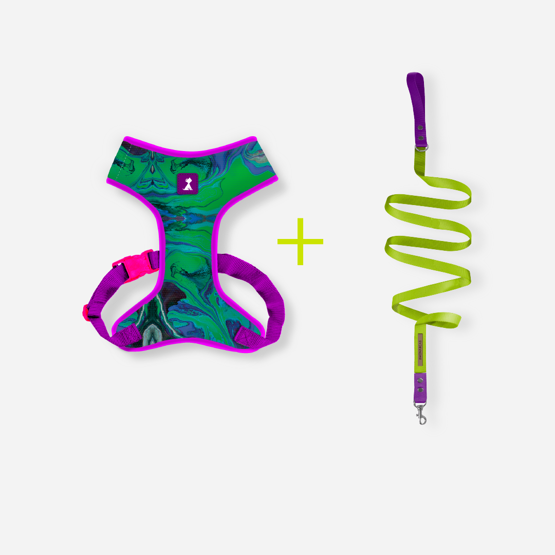 Combo Latidos Verde + traílla