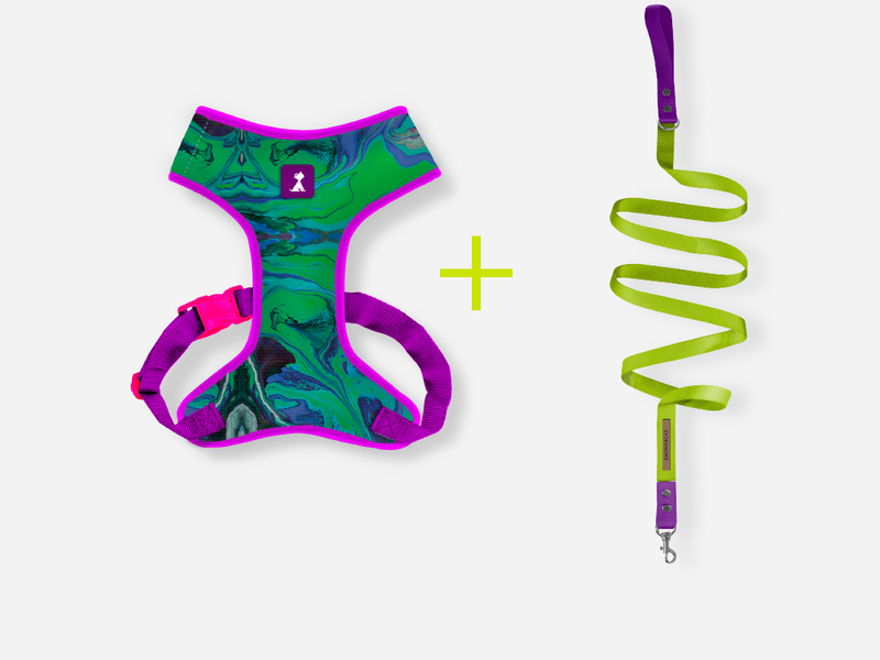 Combo Pechera + Traílla para Perro | Latidos Verde — Monarcas Pets
