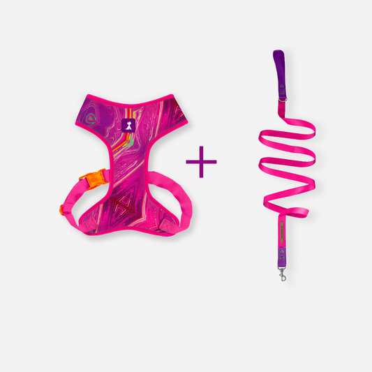 Combo Latidos Rosa + Traílla