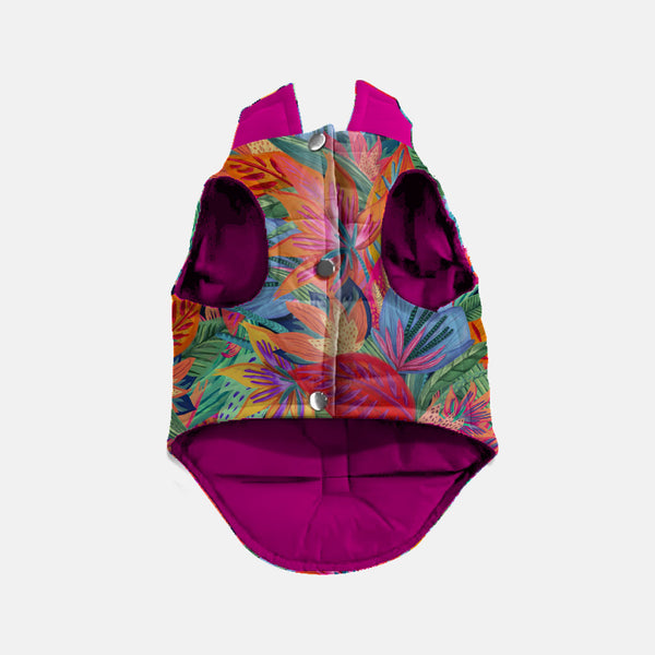 Chaleco Reversible Flora Efímera para Perro | Reverzzo — Monarcas Pets