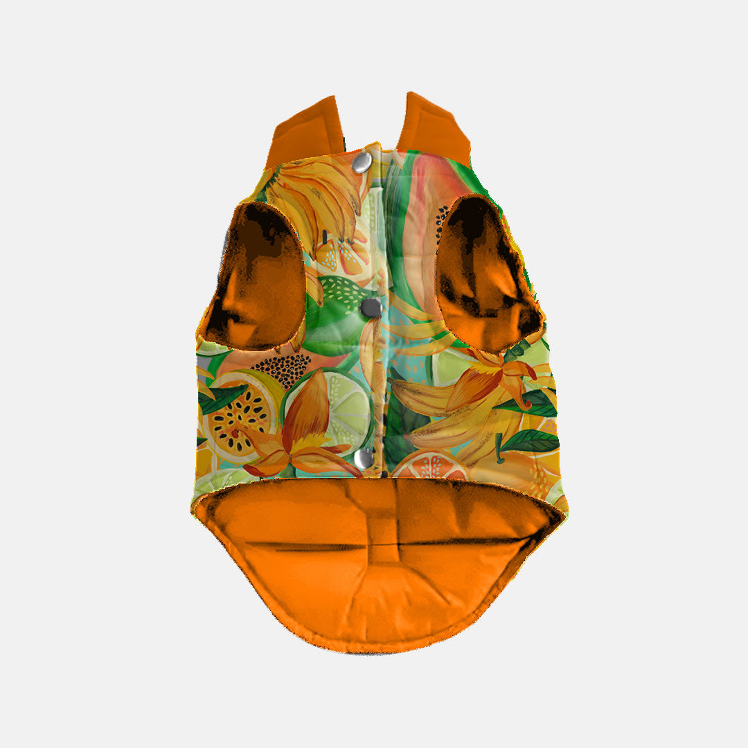 Chaleco Reversible Néctar Sagrado para Perro | Reverzzo — Monarcas Pets