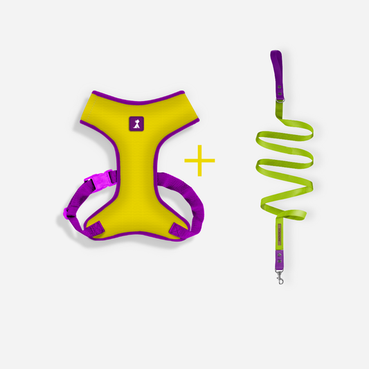 Combo Neón Amarilla + Traílla