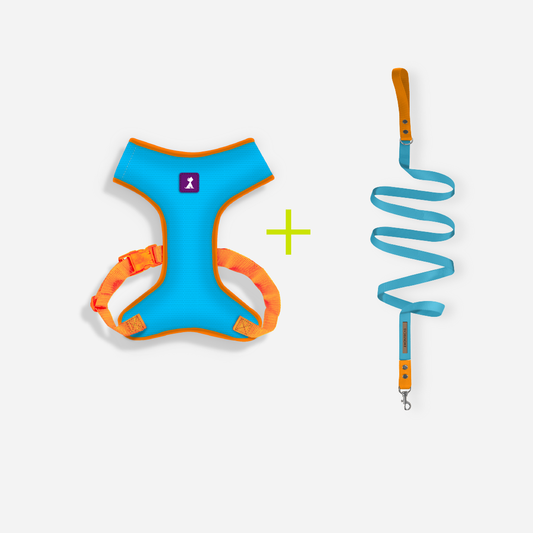 Combo Neón Azul + Traílla