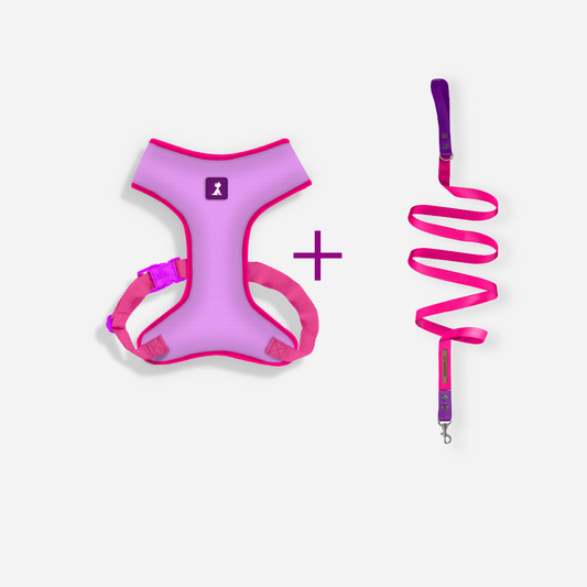 Combo Neón Lila + Traílla