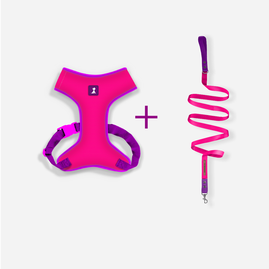 Combo Neón Pink + Traílla