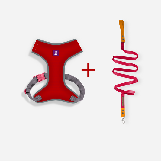 Combo Neón Roja + Traílla
