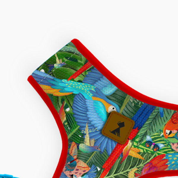 Pechera Vuelo Perpetuo | Monarcas Pets Monarcas Pets Co.