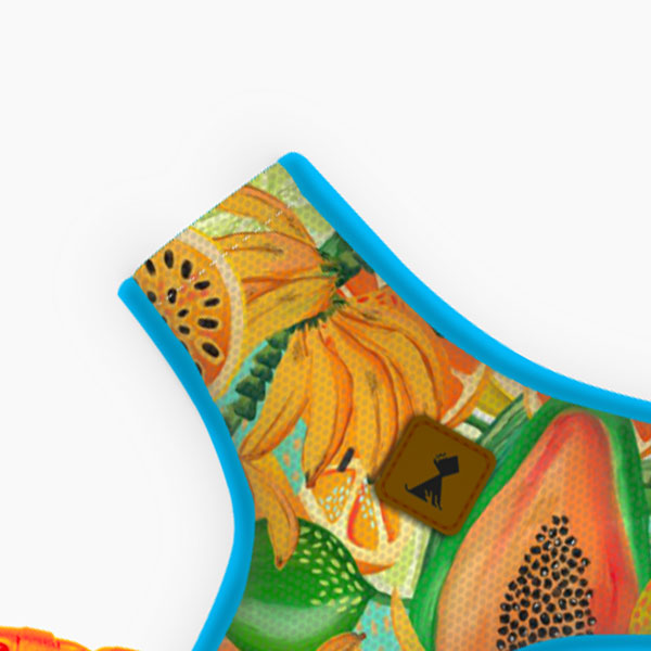 Pechera Vuelo Perpetuo | Monarcas Pets Monarcas Pets Co.